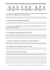 Die-Tulpe-im-Jahreslauf-Fragen-beantworten.pdf